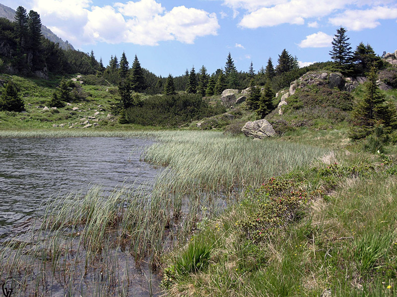 Lago di Colbricon