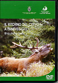Il ritorno del cervo a Paneveggio. Una storia bella.