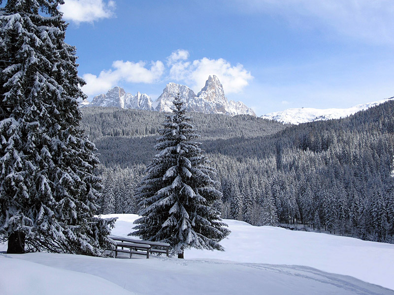 Vivere il Parco d’inverno