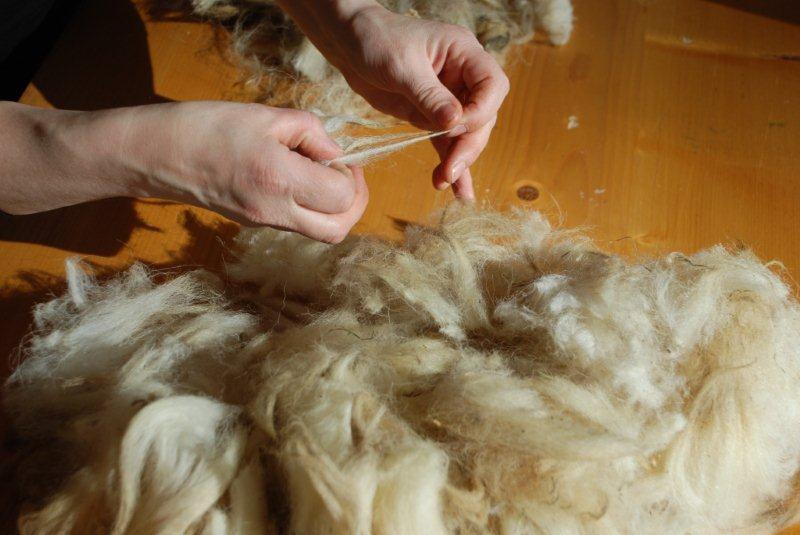 Lavorazione lana 4