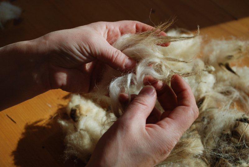 Lavorazione lana Lamon