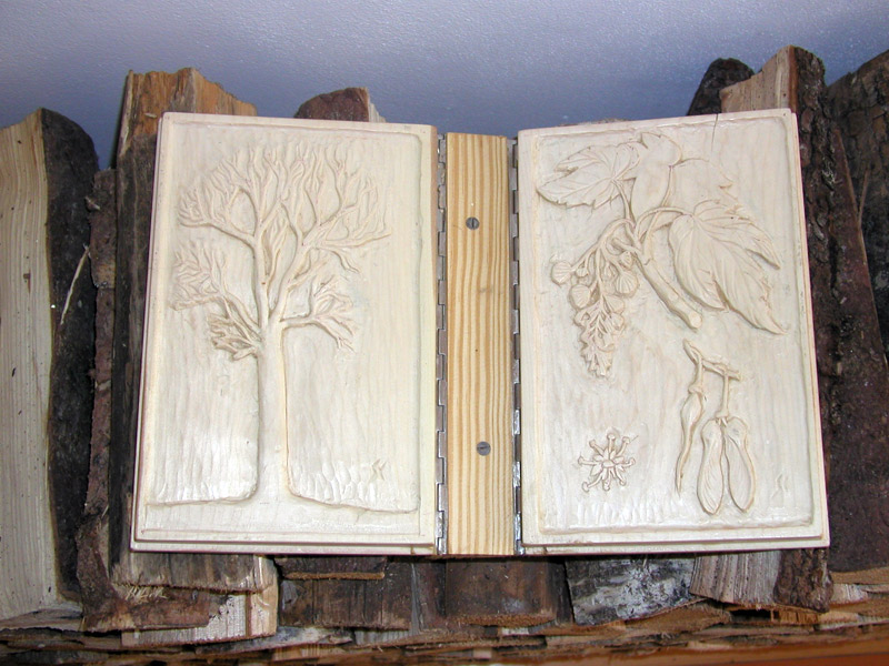 Libro di legno