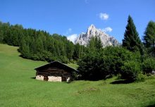 Recupero e mantenimento delle aree a prato nel Parco