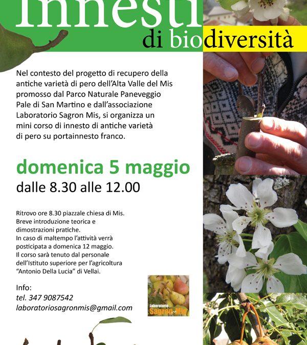 Innesti di biodiversità