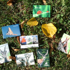 Magneti con panorami e fauna del Parco