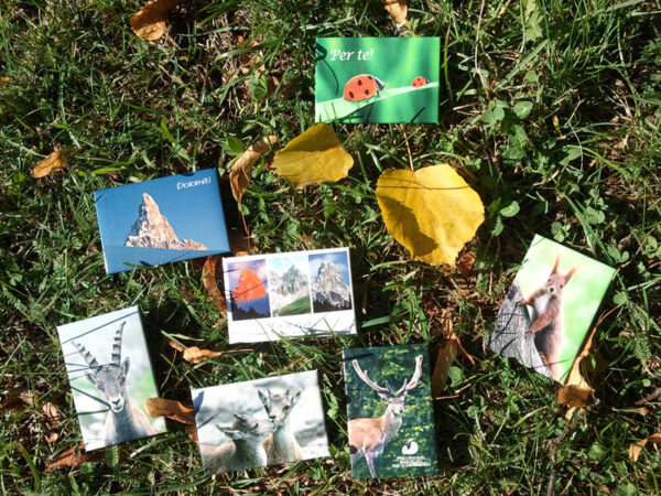 Magneti con panorami e fauna del Parco