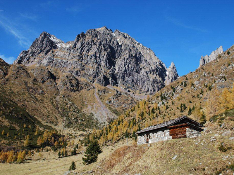 AVVISO PUBBLICO – Deroga per Bivacco Miesnotta di sopra