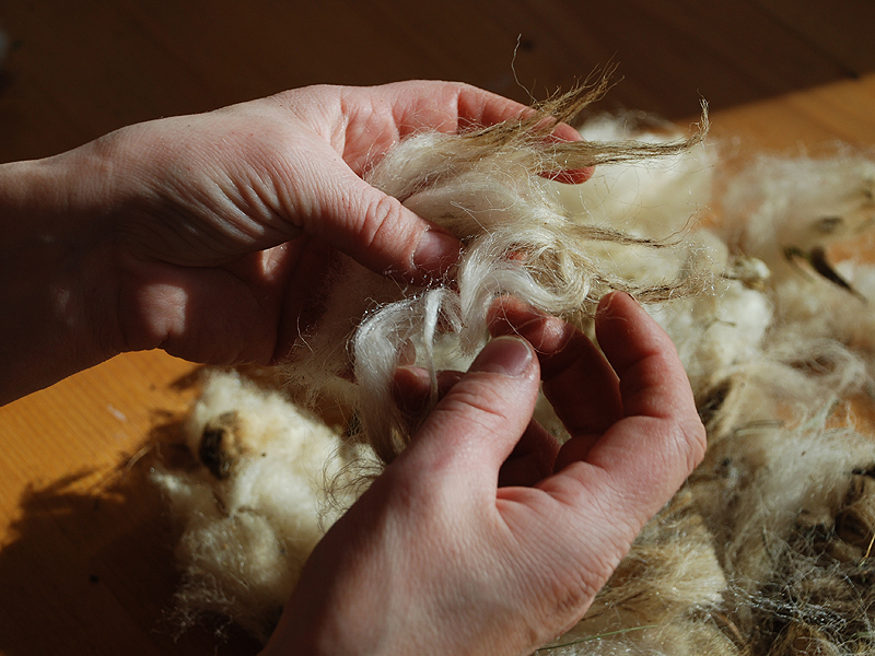 Manipolazione della lana