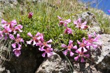 Cosa è la Rete Natura 2000