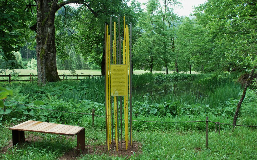 Workshop di acquerello botanico a Villa Welsperg