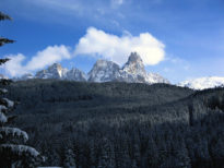 La Foresta di abete rosso