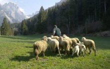 Progetto biodiversità Val Canali