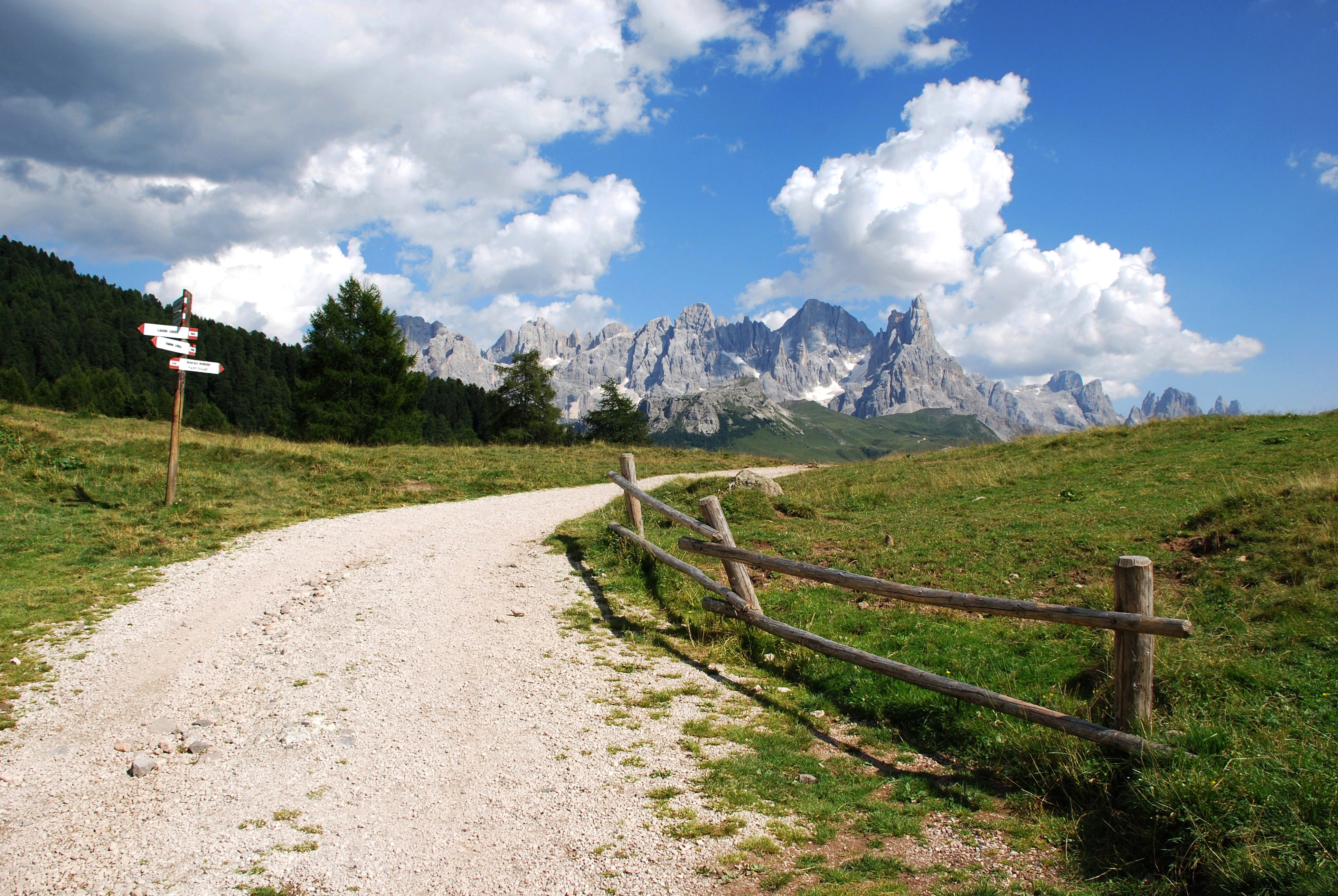 Da Paneveggio a Malga Bocche