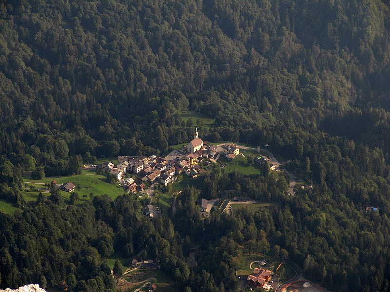 Recupero delle antiche varietà di pero dell’alta Valle del Mis