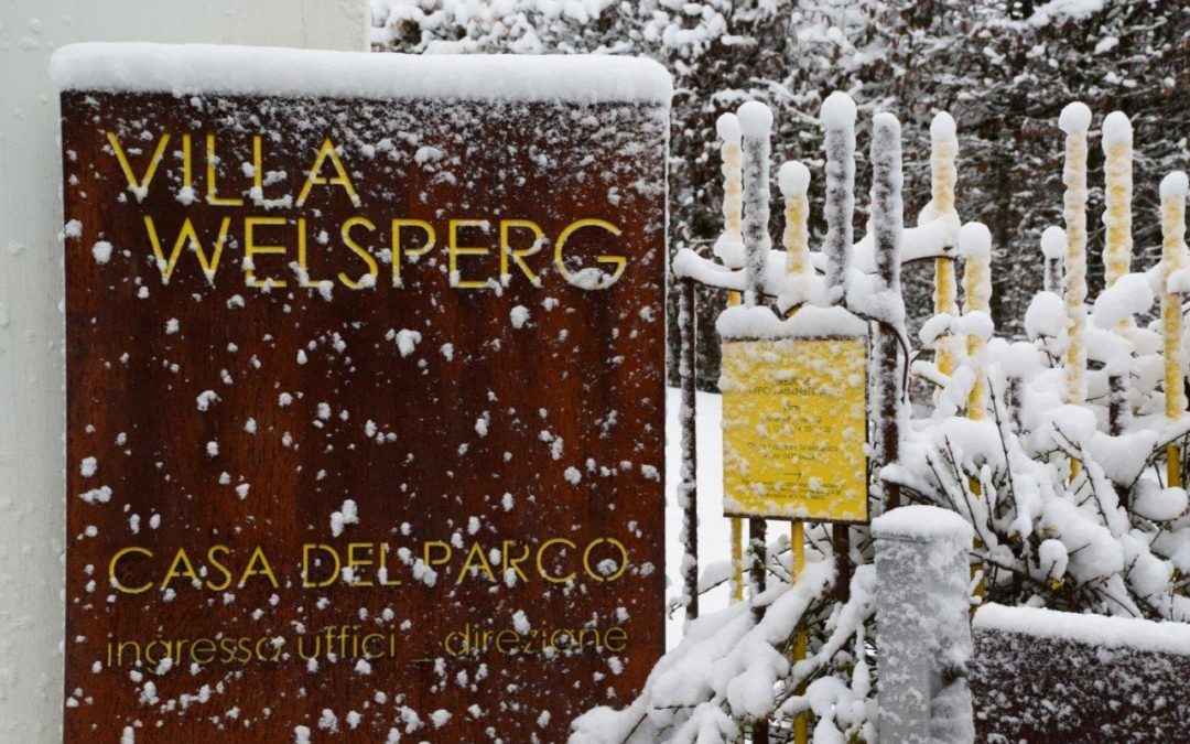 Il 21 dicembre alle ore 15 si riunisce il Comitato di Gestione del Parco