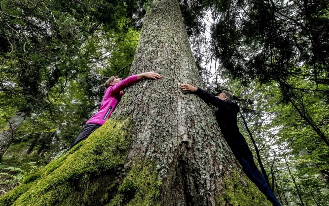 Estate e autunno 2022: IL PARCO IN TASCA con tutte le attività