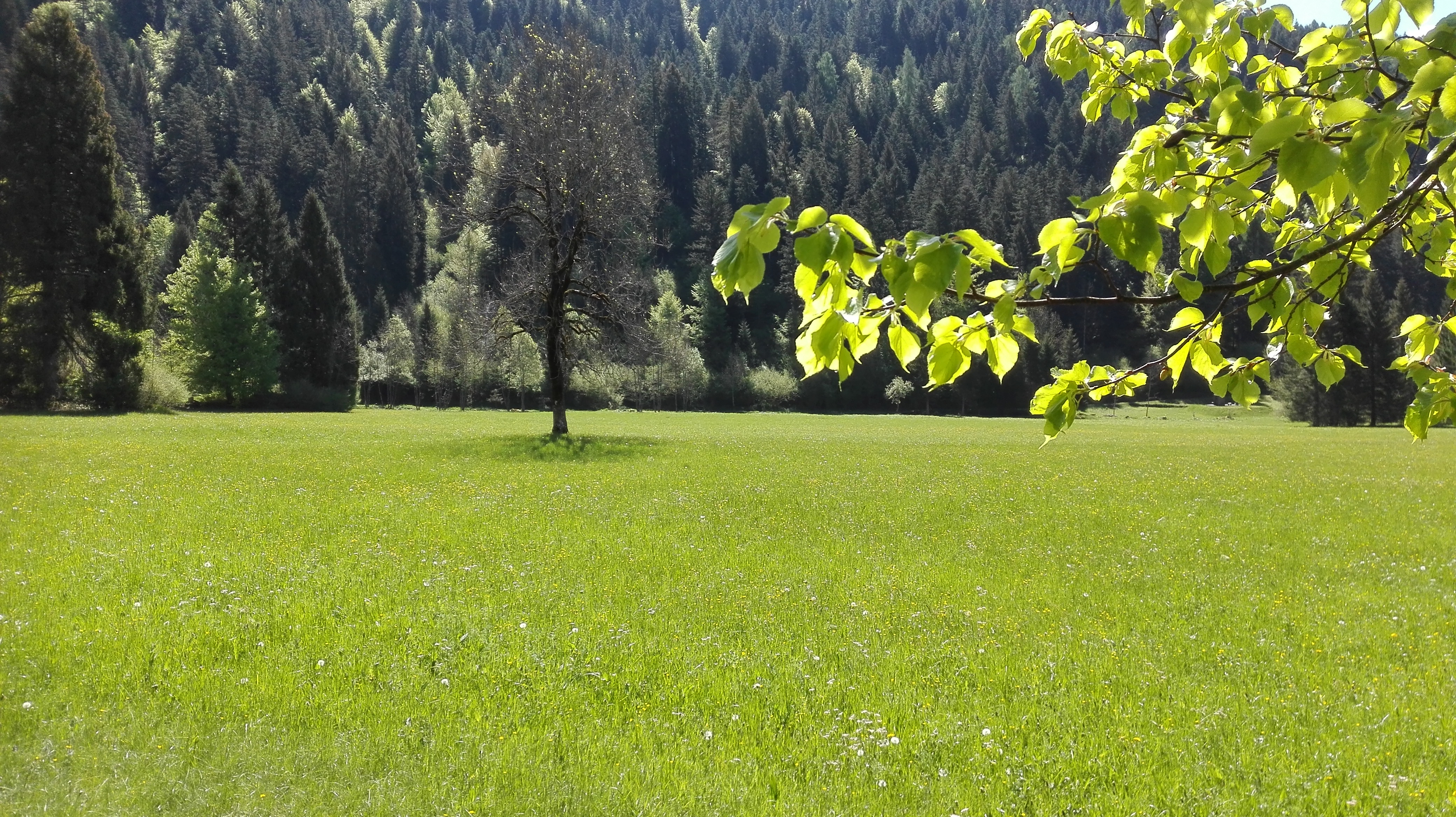 In cammino nei Parchi, domenica 13 giugno anche in Val Canali