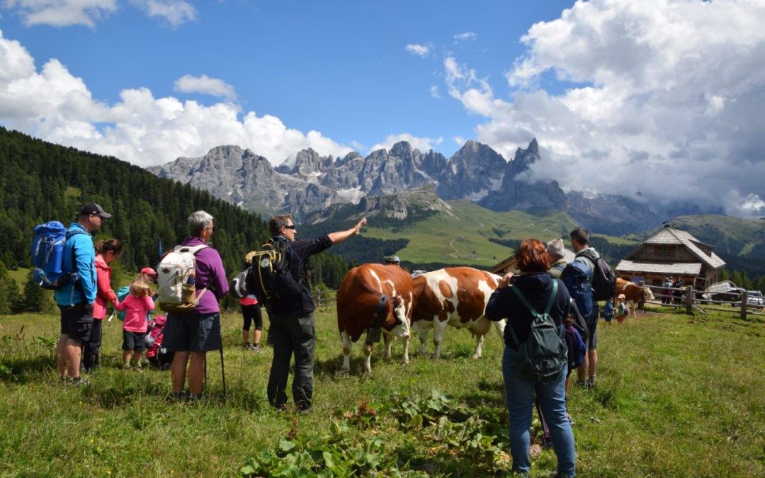 Estate – autunno 2023: IL PARCO IN TASCA con tutte le attività