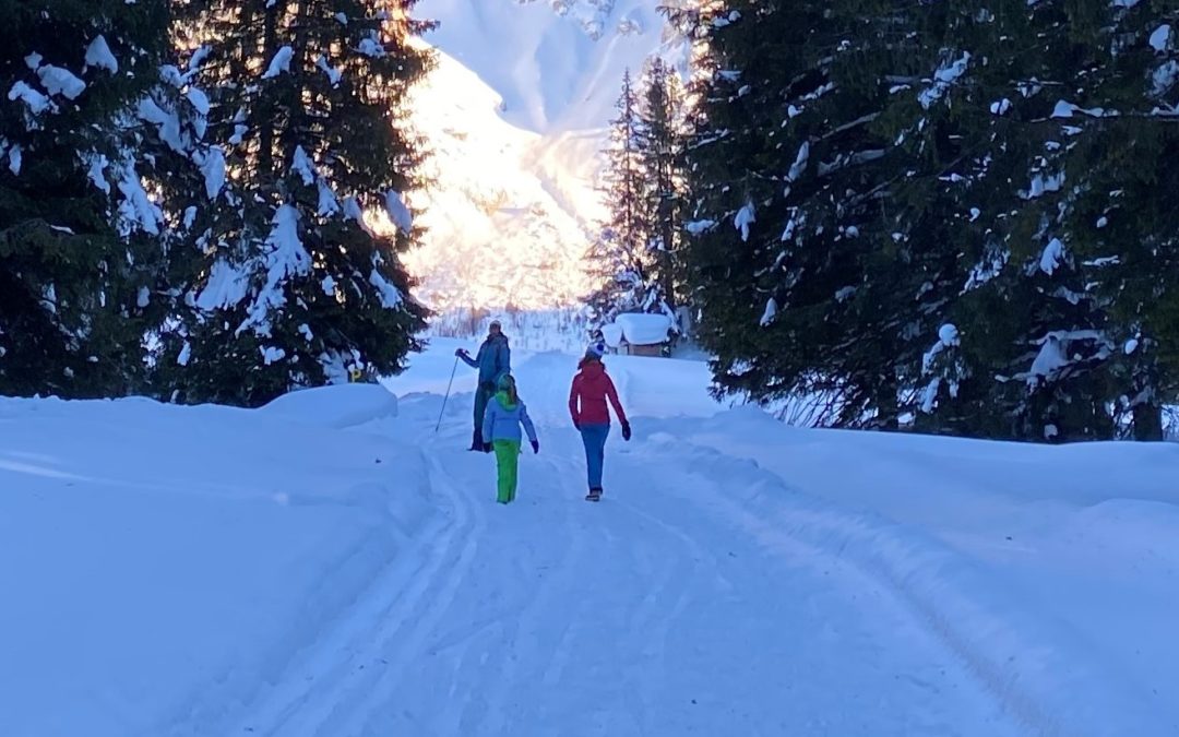 Il Parco d’inverno: le attività