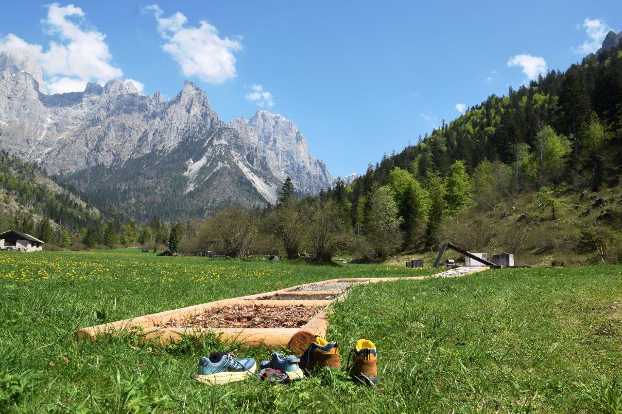 Barefoot path in Val Canali