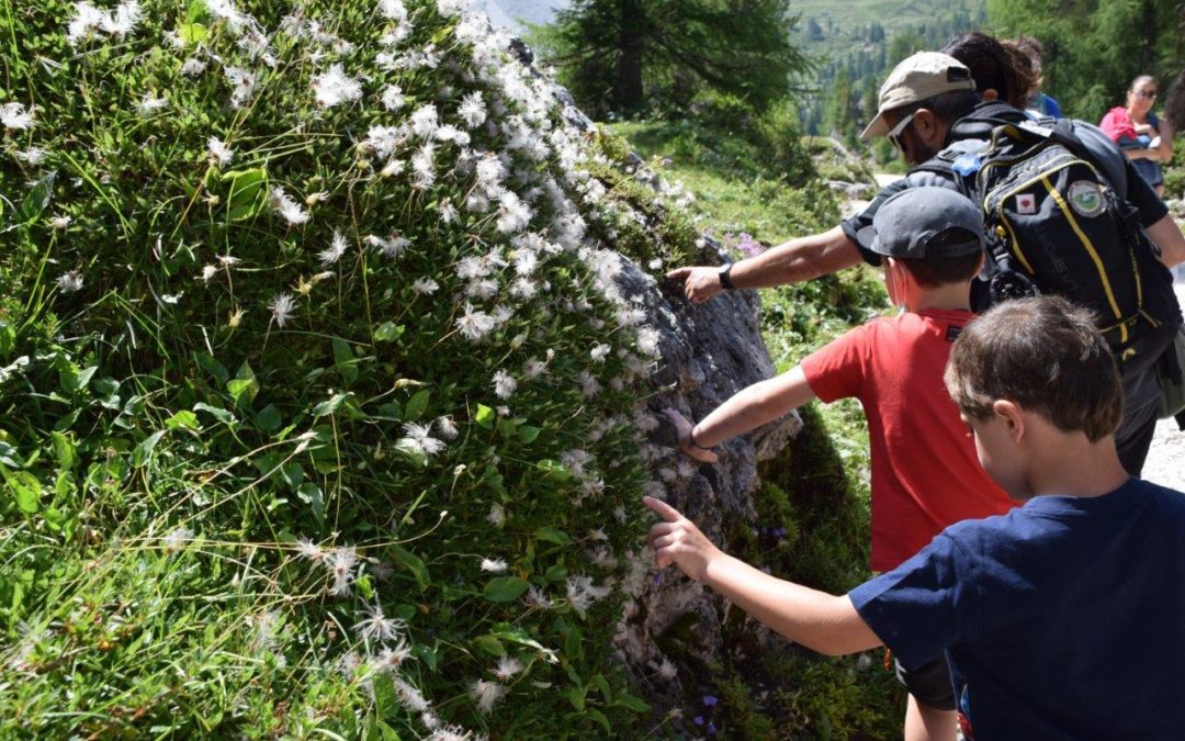 L’educazione ambientale del Parco: anno scolastico 2022-2023