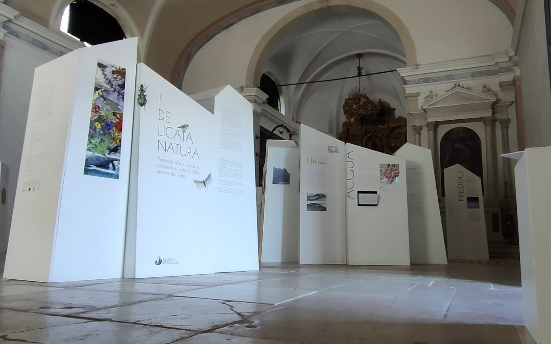 “Delicata natura” la mostra del Parco allestita a Lamon