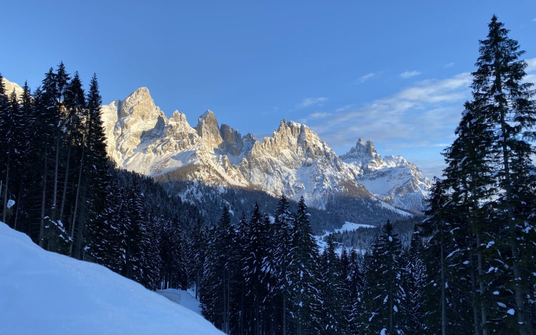 Il Parco d’inverno: tutte le attività da Natale 2023 a marzo 2024