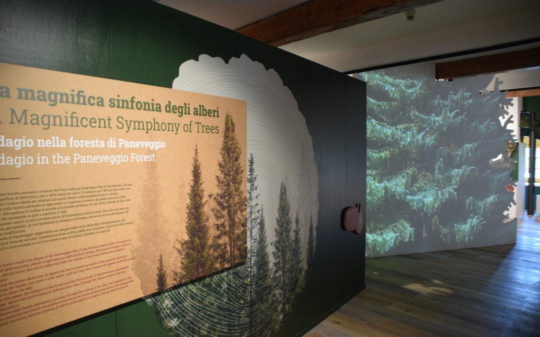 Inaugurato il nuovo Centro visita di Paneveggio “Suona foresta”